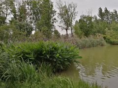 -白鹭湾湿地公园