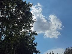 -教师之家赵家羊汤馆(东青龙街店)