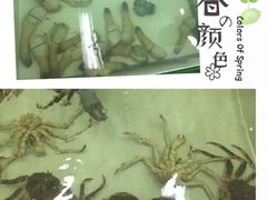 -無招牌海鮮(芽笼店)