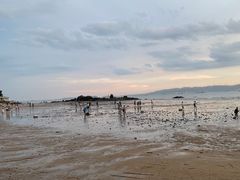 -白城沙滩