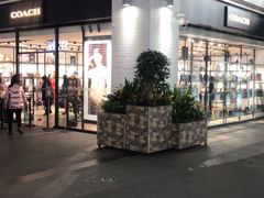 -COACH蔻驰(盛京奥特莱斯店)