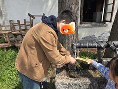 -同里国家湿地公园