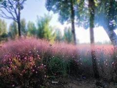 -汉长安城未央宫国家考古遗址公园