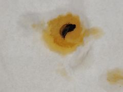 -爱民螺蛳粉(五里亭店)