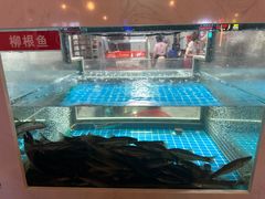 -石锅苗苗鱼(武汉首店)