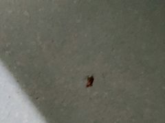 -广州中医药大学第一附属医院(总院)