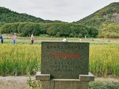 -八卦田遗址公园