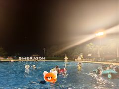 -绿城千岛湖喜来登度假酒店