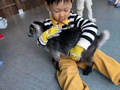 -FAIRYLAND龙族星球主题餐厅(凯丹广场店)