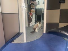 -零纪元VR体验馆·桌游(黄浦店)