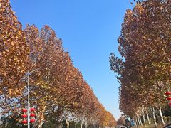 -南京金牛湖风景区