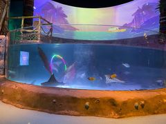 -沈阳海洋探索中心