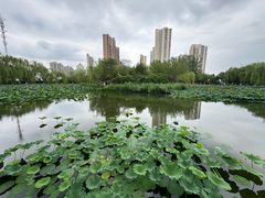 -南翠屏公园