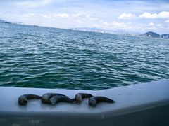 -鑫艋游艇海钓俱乐部