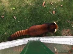 -泉州海丝野生动物世界