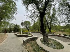 -东郊湿地公园