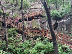 -大岭沟猕猴桃谷风景区