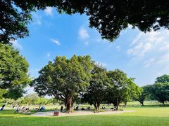 -东莞植物园