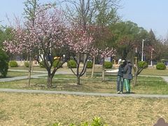 -太阳宫公园