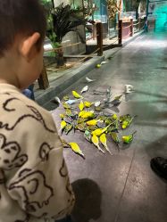 -酷嗒动物文化乐园(cutezoo西溪乐天城店)