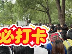 -前门杨记·铜锅涮肉(王府井·故宫店)