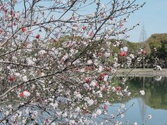 -无锡蠡湖国家湿地公园-蠡园