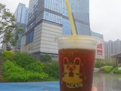 -首开·龙湖成都西宸天街
