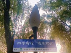 -洛阳市隋唐城遗址植物园