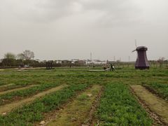 -武汉紫薇都市田园