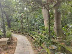 -广州莲花山旅游区