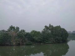 -眉山湿地公园(东坡区)