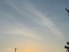 -青岛香格里拉·香宫中餐厅