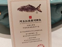 -阿五黄河大鲤鱼(海尚店)