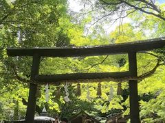 -野宫神社