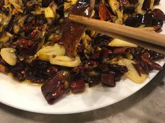 见手青-易门野生菌府·菌海森林(月牙潭公园店)