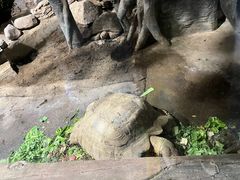 -太原动物园
