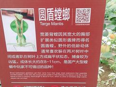 -南宫五洲植物乐园