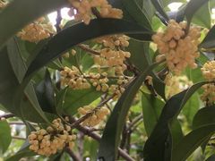 -杭州城北体育公园