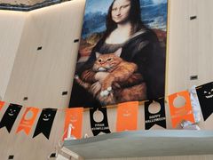 -飞行喵MR PILOT|猫舍·猫咖(静安大融城店)