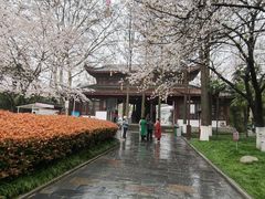 -堤角公园
