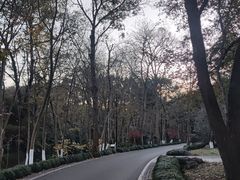-杭州植物园