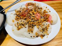 -海丝金凤(金鱼店)