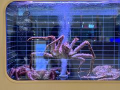 -頂好酒家·经典粤菜(海信广场店)