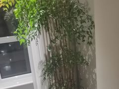 -颐润堂专业养生(五道口华清商务会馆店)