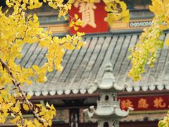 -西园戒幢律寺