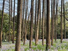 -柳莺湖上·湖景餐厅·江南菜(西湖店)