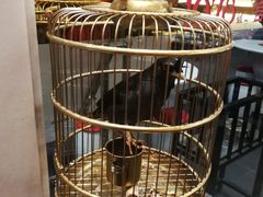 -1078號老北京涮肉(松柏店)