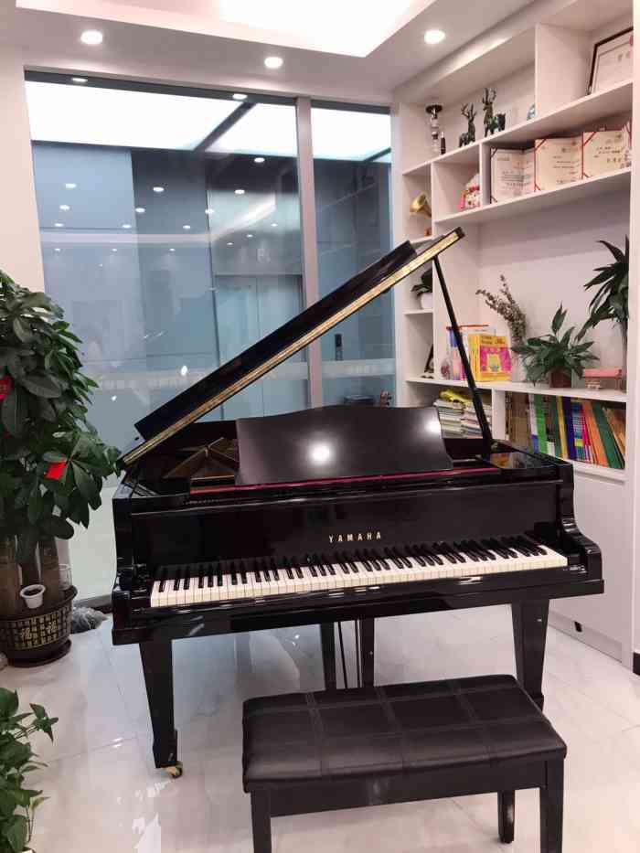 八音音乐-"不了解老师,但是练琴房很好很廉价.很可惜.