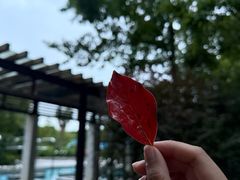 -张家港金凤凰度假村温泉