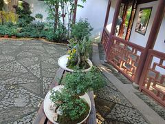 -汇龙潭